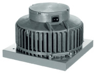 CAPP.P, fot. Harmann