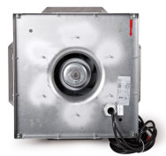 VIVER EC, fot. Harmann